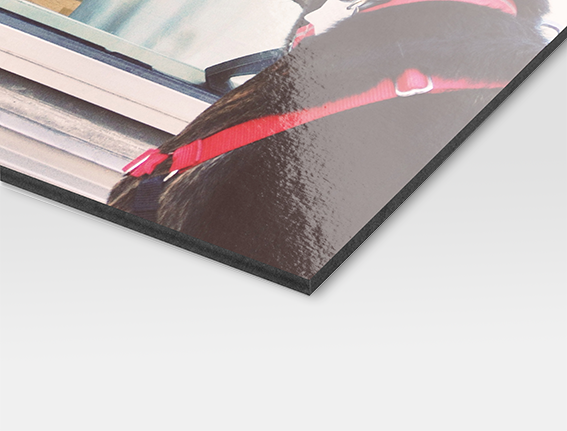 FOREX® SCHWARZ FineART FOREX® SCHWARZ FineART