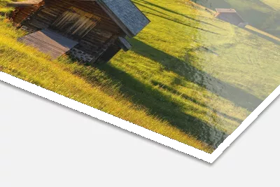 FOREX® WEISS FineART FOREX® WEISS FineART